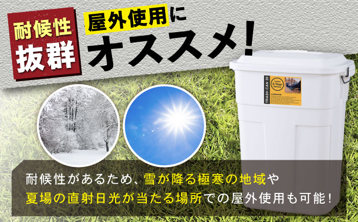 トラッシュカン ゴミ箱 ふた付き 30L ブラウン 2個組 / ダストボックス ゴミ箱 ごみ箱 / 恵那市 / 東谷株式会社 明智流通センター [AUAD068]