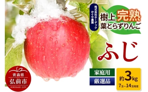 【25年11月～発送】りんご ふじ 約3kg（7玉～14玉程度）樹上完熟葉とらず【家庭用】厳選品 青森県産 りんご【レビューキャンペーン】