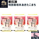 【ふるさと納税】【白米】令和6年産 特別栽培米 あきたこまち 6kg（2kg×3袋）