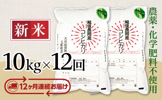
            E1-S10ZB【12ヶ月連続お届け】新潟県長岡産コシヒカリ10kg
          