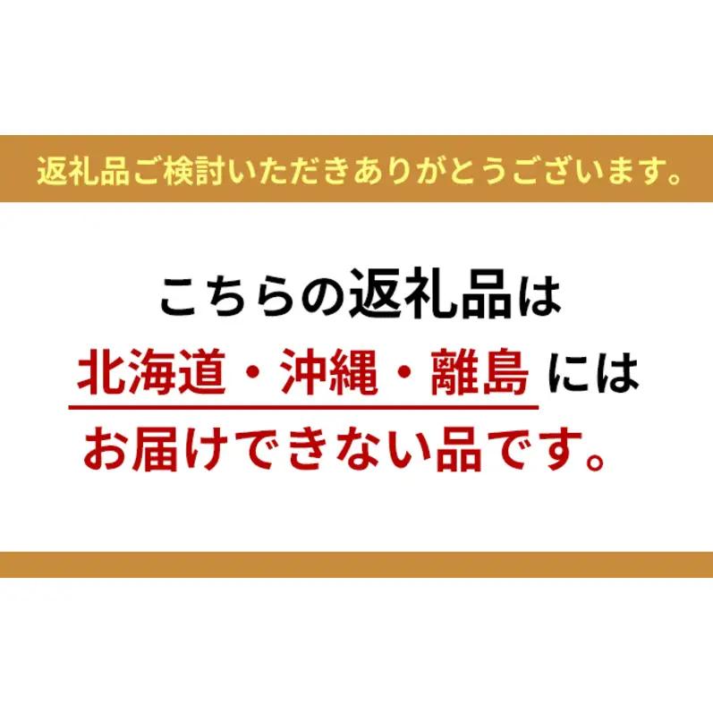 パン グルテンフリーベーグル シナモン 3セット パン