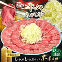 【ふるさと納税】【全6回定期便】佐賀産和牛 牛タンしゃぶしゃぶセット 500g 計3kg 吉野ヶ里町/やきとり紋次郎 [FCJ060]