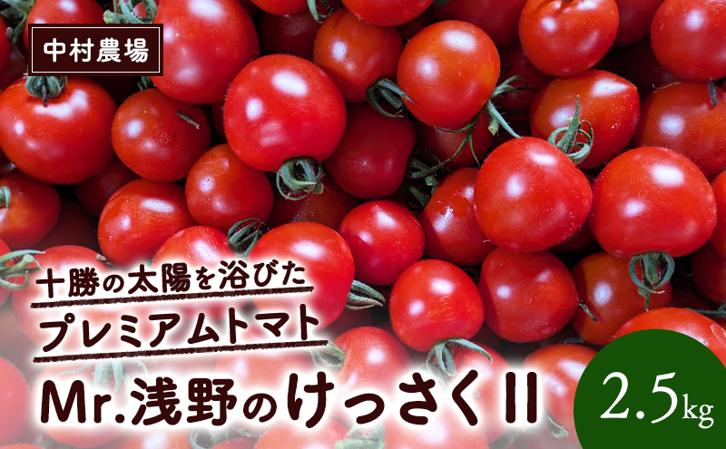 訳あり 北海道 十勝の太陽を浴びたプレミアムトマト 「Mr.浅野のけっさく2」2.5kg ［中村農場］【 訳あり トマト フルーツトマト 中玉トマト ミディトマト 高糖度 甘い 濃厚 寒暖差 野菜 こだわり 農家直送 北海道 十勝 幕別 】