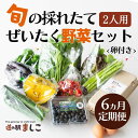 【ふるさと納税】＜6か月定期便＞旬の採れたてぜいたく野菜セット（卵付き）2人用(AA034)