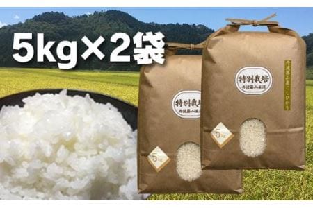 丹波篠山の地醤油漬、佃煮セット　特別栽培米5kg×２と実山椒・山蕗 AD28