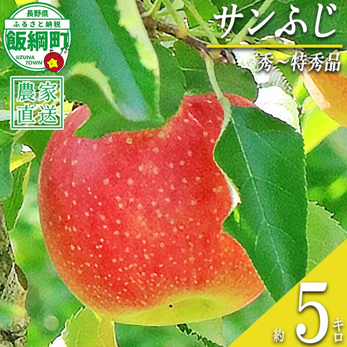 【ふるさと納税】 りんご サンふじ 秀 〜 特秀 5kg 永正の地蔵尊神谷農園 沖縄県への配送不可 令和8年度収穫分 長野県 飯綱町 〔 信州 果物 フルーツ リンゴ 林檎 長野 18000円 予約 農家直送 〕発送時期：2026年12月上旬〜2027年2月上旬 {***}