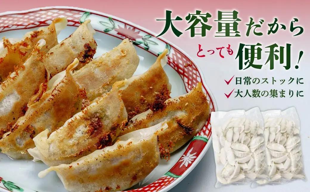 餃子 野菜餃子 60個セット (60個×1袋) 冷凍 餃子