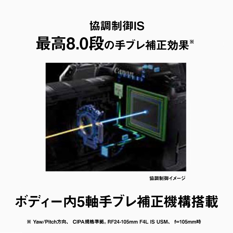 キヤノン EOS R6 Mark II 一眼レフ 一眼レフカメラ Canon キャノン カメラ デジタル一眼レフ デジタル一眼レフカメラ ボディ 本体 高画質 デジタルカメラ ミラーレス ミラーレス一