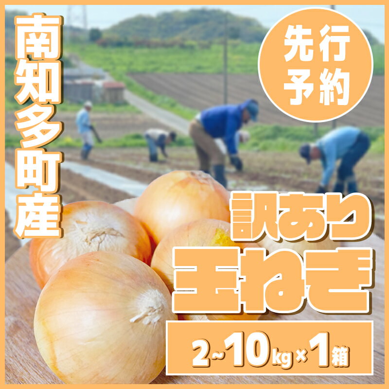 【ふるさと納税】 選べる 国産玉ねぎ 2 〜 10kg 【先行予約 5〜6月出荷】 ( ふるさと納税 玉ねぎ ランキング ふるさと 野菜 オニオン 甘い 玉葱 肉じゃが ハンバーグ 家庭用 栽培 お野菜 ベジタリアン 大きさ不揃い 先行予約 2kg 5kg 10kg 愛知県南知多町 健康 ダイエット)