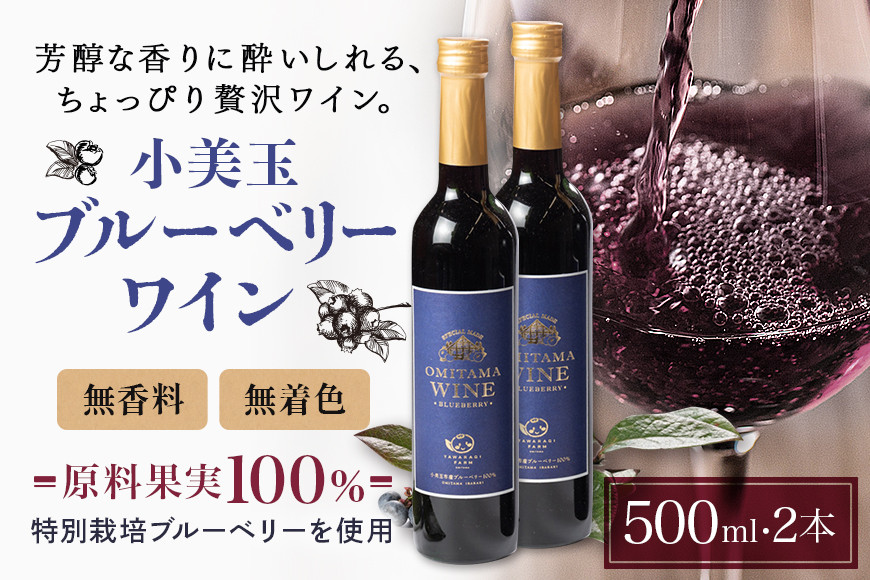
小美玉ブルーベリーワイン2本セット ブルーベリー ワイン ブルーベリーワイン フルーツ 果物 ビタミンE アントシアニン 栄養 目にいい 健康 美容 ギフト 贈り物 茨城県産 プレゼント セット お酒 美味しい お祝い ９－Ｆ
