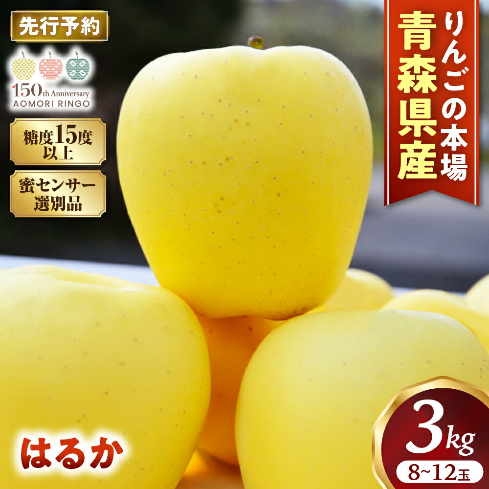 【ふるさと納税】【先行予約】 高級りんご はるか 約3kg 8〜12玉【2026年産 | 12月上旬〜2027年1月上旬頃まで発送予定】りんご 林檎 リンゴ 希少 はるか フルーツ 果物 国産 贈答 土産 青森県 三戸町