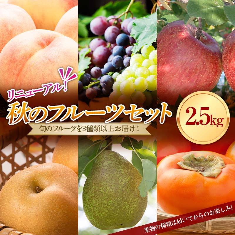 【ふるさと納税】《先行予約 2026年度発送》秋のフルーツセット2.5kg ぶどう ブドウ 葡萄 デザート フルーツ 果物 くだもの 果実 食品 山形県 FSY-1895