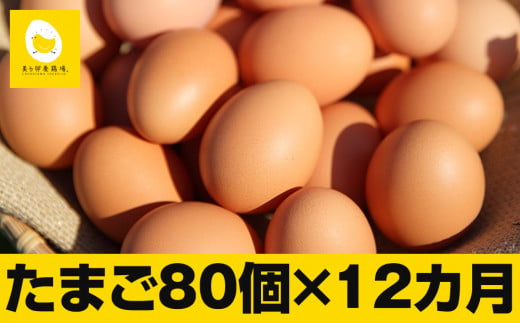 
【定期便】12ヵ月連続お届け　卵の黄身が掴めるほどの新鮮さ　美ら卵養鶏場の卵　各月80個
