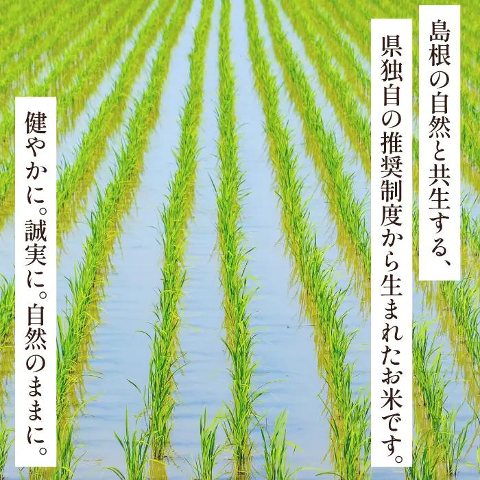 【定期便】石見銀山天領米(5kg×5回お届け)【定期便 定期 5回 コシヒカリ 精米 5kg×5回 合計25kg 島根県産 大田市産 米 氷感熟成 エコロジー米 天領米】