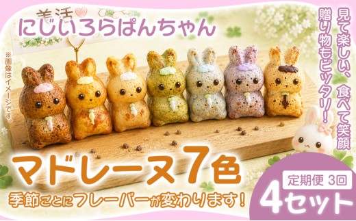 マドレーヌ 7個入 4セット×3ヶ月定期便 焼き菓子 お菓子 菓子 まどれーぬ 洋菓子 スイーツ グルテンフリー カラフルで可愛い にじいろらぱんちゃんマドレーヌ 7色 詰め合わせ 焼菓子 詰合せ かわいい おかし おやつ 映える 手土産 おしゃれ ギフト お取り寄せ プレゼント お祝い 個包装 写真映え 女性向け 子供 喜ぶ おやつ ティータイム おうちカフェ 華やか 可愛い 奈良県 奈良市