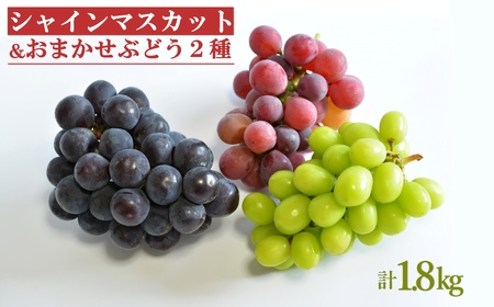 【2025年9月～10月発送分先行受付】シャインマスカットとおまかせ2種詰合せ約1.8kg（3種×各1～2房）_H133(R7)