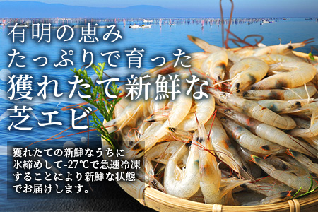  冷凍芝エビ（真エビ）2.5kg（500g×5パック） B-357