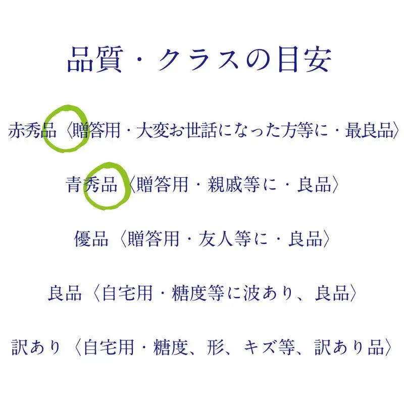 [HS]【定期便全2回】ぶどう先行予約9月・10月発送シャインマスカット晴王2kg箱（3～5房） 岡山県産 シャインマスカット