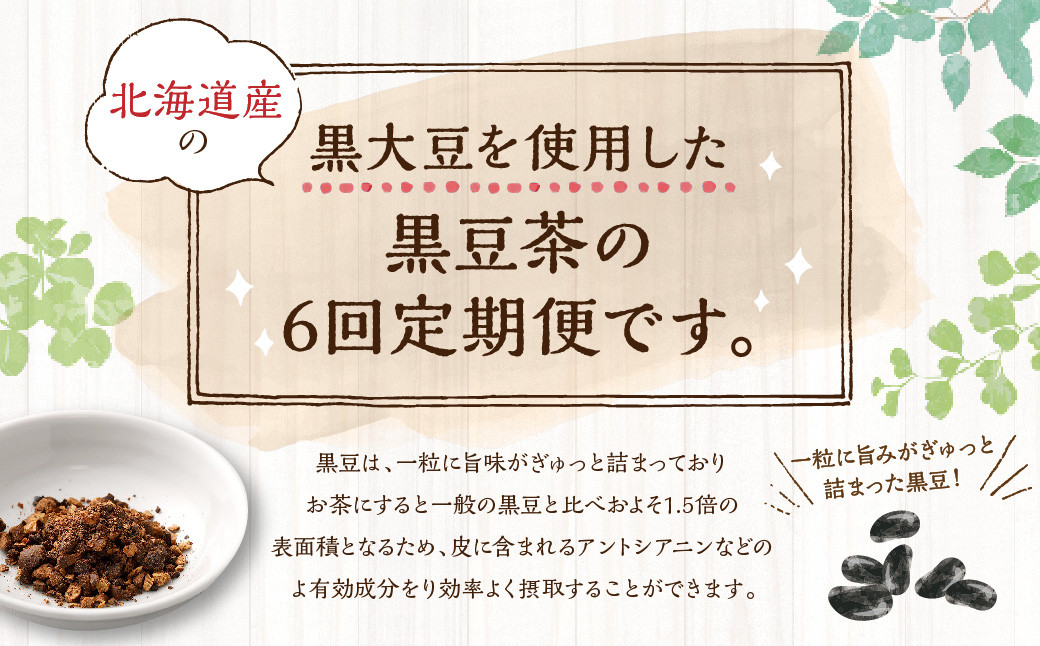 【年6回定期便】国産黒豆茶　計6袋(1回あたり1袋 :100包入り)