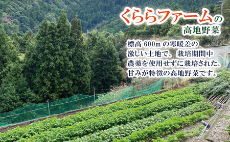 夏野菜 セット 野菜 加工品 詰合せ 野菜 野菜 野菜 野菜 野菜 野菜 野菜