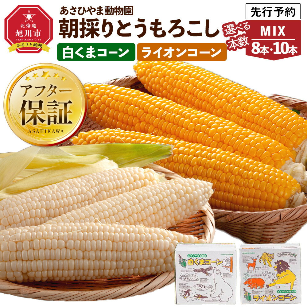 【ふるさと納税】【26年発送先行予約/容量選択可能】朝採りとうもろこしMIX8～10本 あさひやま動物園 白くまコーンとライオンコーンのミックス（2026年8月中旬から発送開始予定） | とうもろこし コーン スイートコーン ゴールドラッシュ 食べ比べ 冷蔵 旭川市