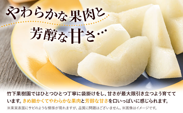 梨 甘太梨 和梨 なし フルーツ 果物 旬 秋 約3.5~ 4kg 長洲町産 竹下果樹園《9月上旬-9月下旬頃出荷》熊本県 長洲町 果物 なし かんた---sn_ctkknt_ab9_24_13000