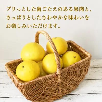 訳あり 文旦 5kg あいなんマザーズ