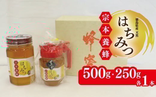 はちみつ 国産 セット 500g 250g 化粧箱入 天然 蜂蜜 純粋 蜂蜜ギフト 健康食品 美容 食品 無添加 栄養豊富 生はちみつ ハチミツ ギフト 贈答 人気 はちみつ お取り寄せ グルメ ヨーグルト パン スイーツ 徳島県 吉野川市