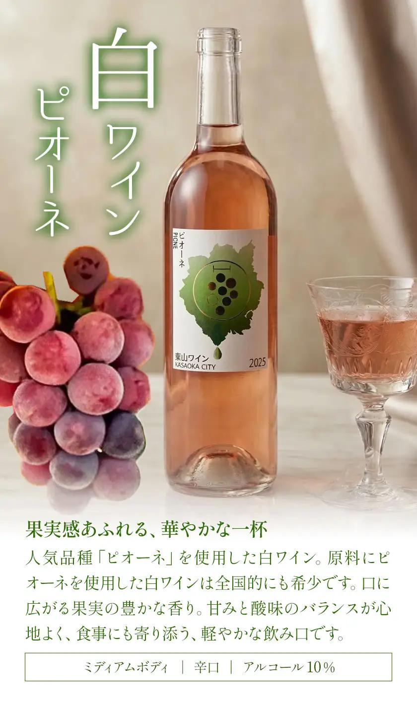 東山ワイン2025 750ml 藤稔 ピオーネ 2本セット 東山農園