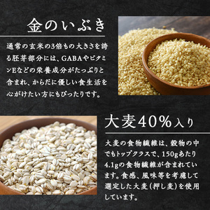 金のいぶき玄米と大麦を炊いたパックごはん 150g×10パック 黒米入り 大麦40％入り 有機JAS 黒米 レンジ 有機JAS パックライス ご飯 米 レンチン 【有機農園ファーミン株式会社】tm11
