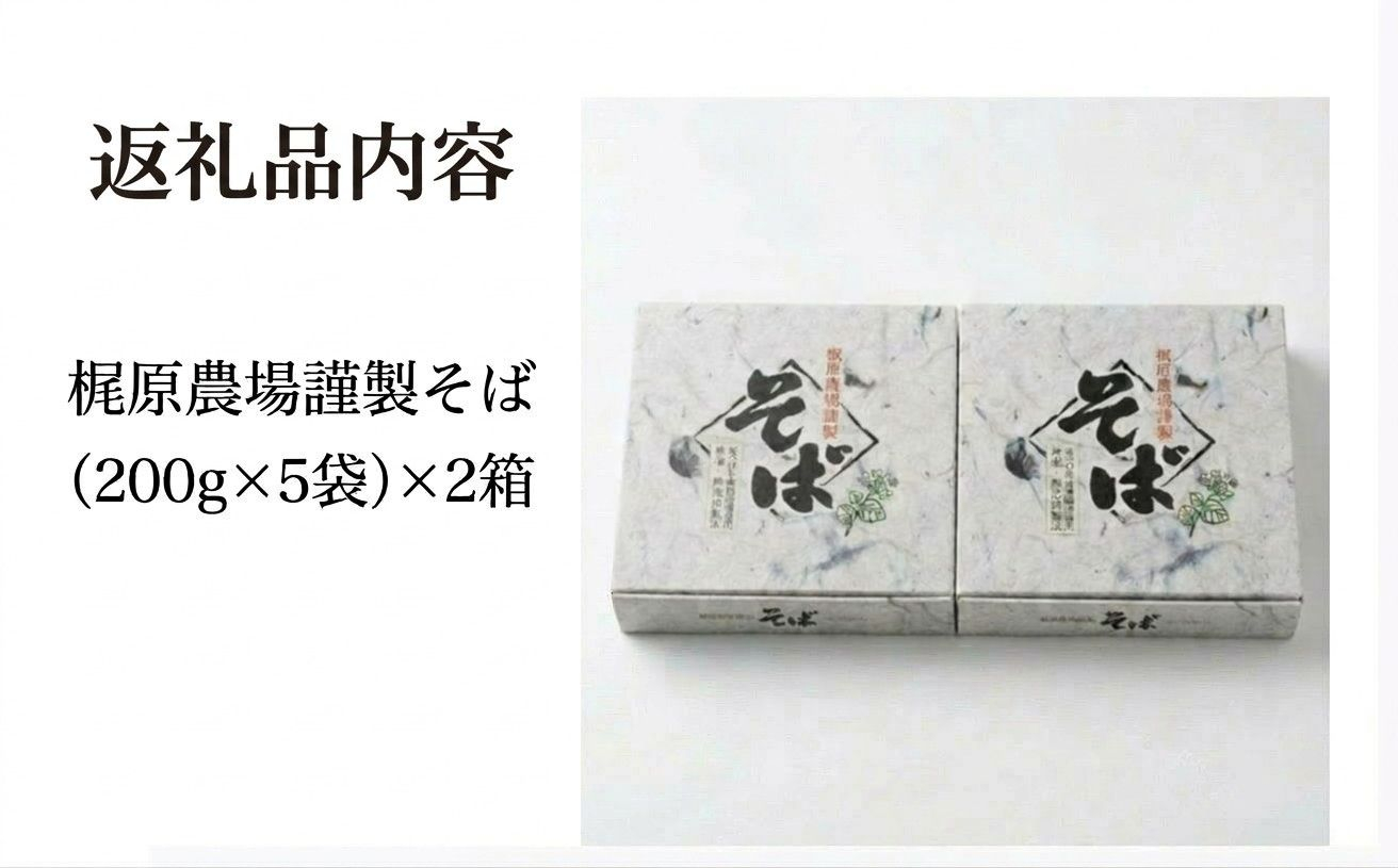 【先行予約】そば 乾麺 北海道安平町産 〈梶原農場謹製そば〉 化粧箱入[200g×5袋]×2箱 【2026年11月下旬頃〜順次発送予定】 5割 同割 小分け お中元 暑中御見舞 残暑御見舞 年末 年越