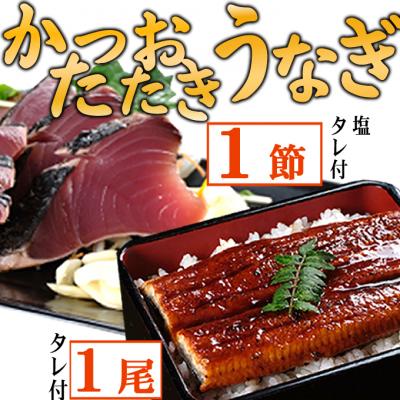 ふるさと納税 室戸市 【数量限定】うなぎの蒲焼き1尾とかつおのたたき1節　食べ比べセット