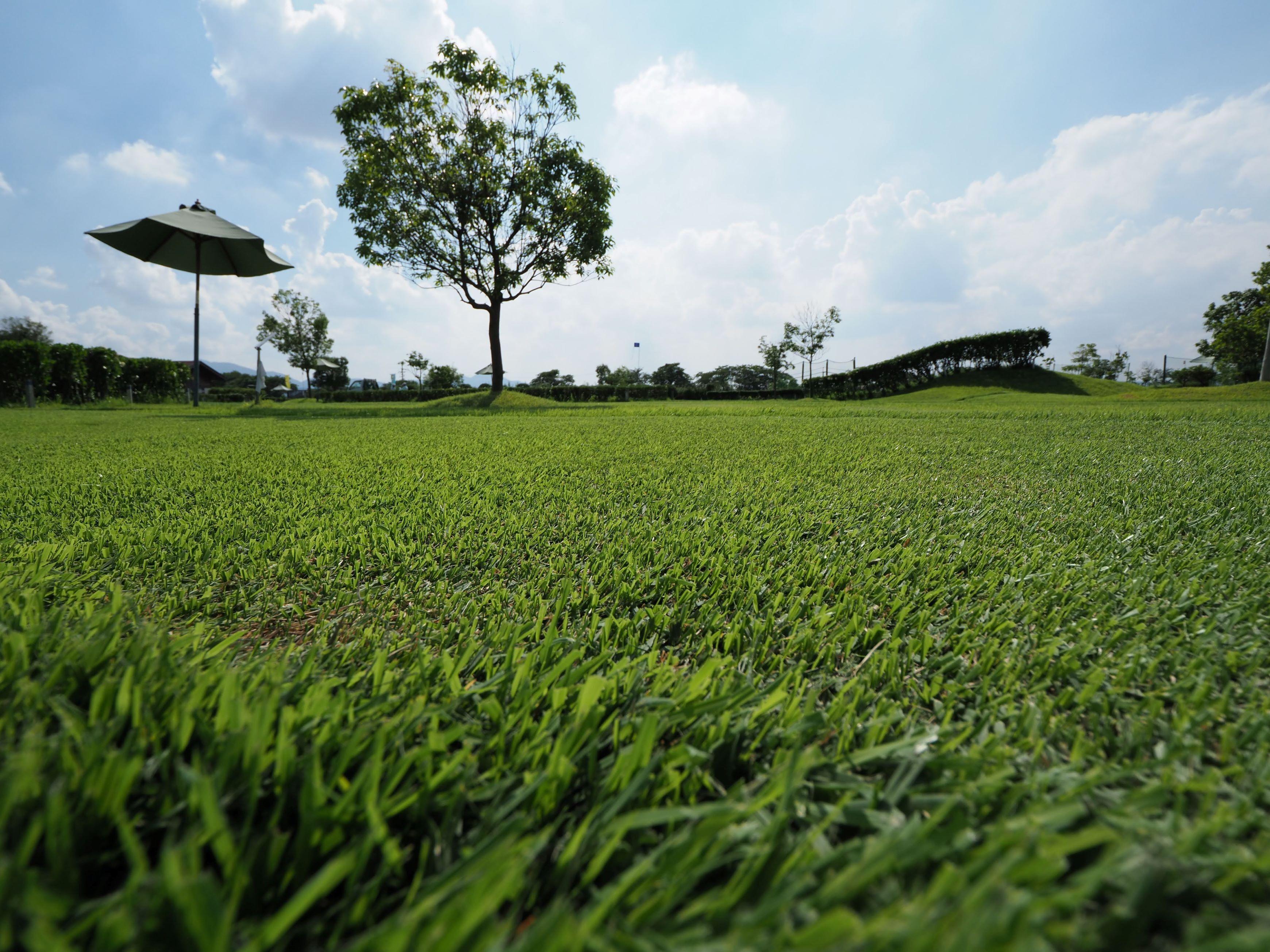 【奈良県内共通返礼品】広陵パークゴルフコース１ラウンド特別利用券１０枚セット