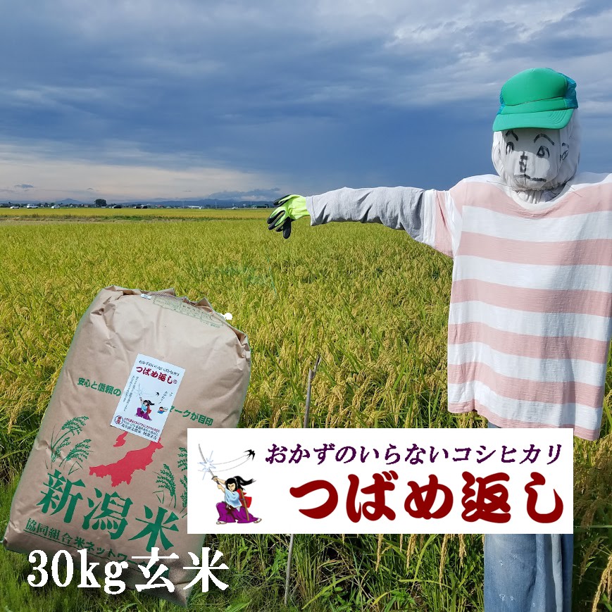 
                  【令和8年産米予約受付中】おかずのいらないコシヒカリ「つばめ返し」玄米30kg 未検査米 FC066001
                