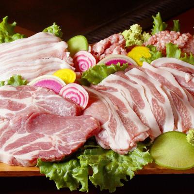 ふるさと納税 北上市 【発送月固定定期便】GIFTON 岩手北上産 四元豚 厳選カット肉と季節のうるおい 野菜セット全6回 |  | 02