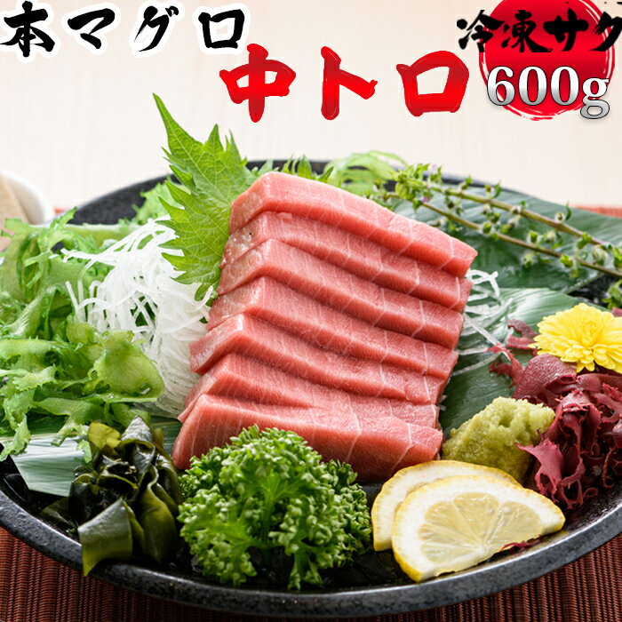 【ふるさと納税】【日時指定可能】本マグロ 中トロ600g [0022-0013] マグロ 本マグロ まぐろ 鮪 中トロ トロ 刺身 寿司 海鮮 シーフード 冷凍 魚