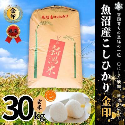 ふるさと納税 津南町 【令和7年産】魚沼産コシヒカリ金印(玄米)30kg