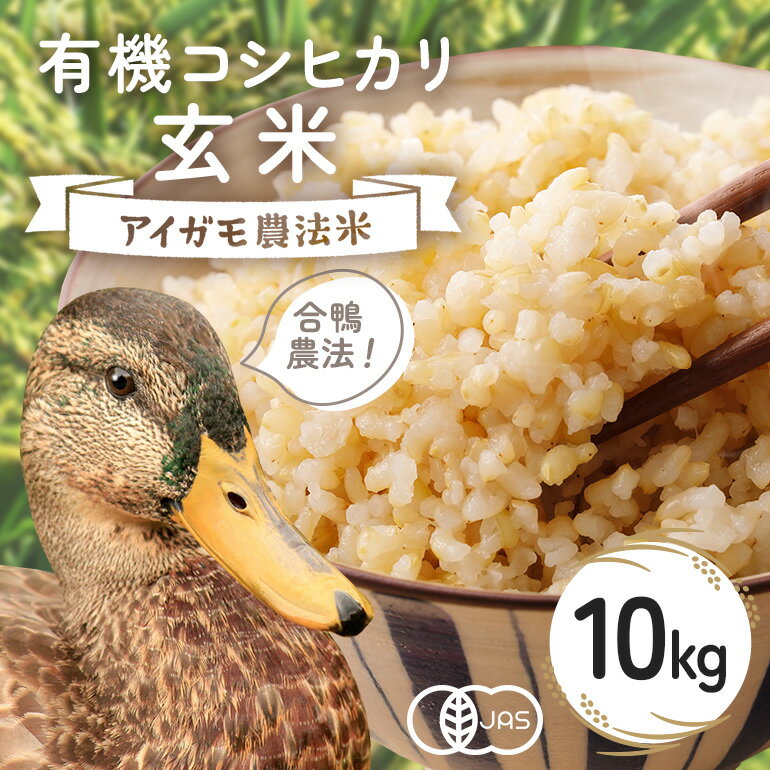 【ふるさと納税】【令和7年産】有機 コシヒカリ 玄米 10kg 有機栽培 有機米 特別栽培米 合鴨農法 こしひかり お米 米 おこめ ブランド米 こしひかり 10キロ 国産 単一原料米 コメ こめ ご飯 銘柄米 茨城県産 茨城 産直 産地直送 農家直送 ごはん 茨城県 石岡市 (B03-004)