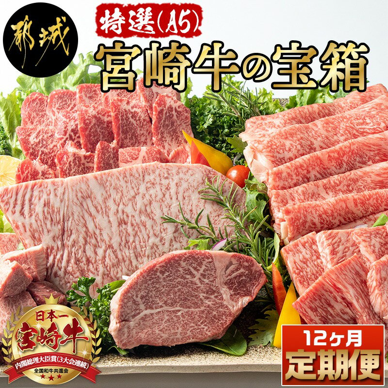 【ふるさと納税】特選(A5)宮崎牛の宝箱（12ヶ月定期便） - 宮崎牛 5等級 12ヶ月定期便 サーロイン芯スライス モモスライス シャトーブリアンステーキ 特上モモステーキ ヒレサイコロステーキ モモ焼肉用 送料無料 TAH12-0101【宮崎県都城市は2年連続ふるさと納税日本一！】