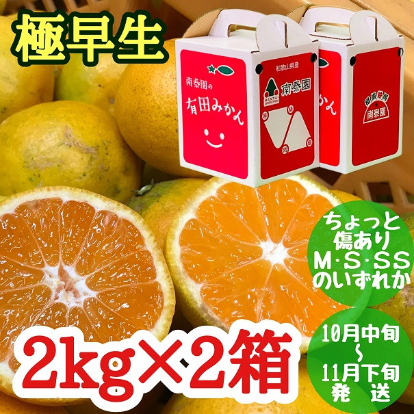 
                  ちょっと 傷あり 極早生 みかん 有田 M～SSサイズ 約2kg × 2箱 手さげ箱 南泰園_ZF6026n
                