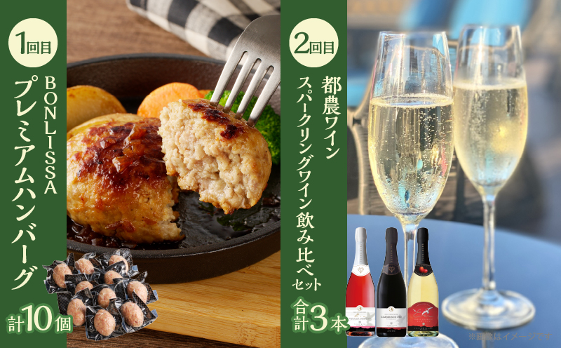 ≪6か月お楽しみ定期便≫都農町定期便(松) 肉 加工品 鰻 国産_T999-007