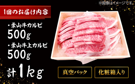 【全3回定期便】 葉山牛 焼肉用上カルビ500g焼肉用カルビ500g／ 牛肉 葉山牛 和牛 焼肉 カルビ 上カルビ【有限会社葉山旭屋牛肉店】[ASAP053]