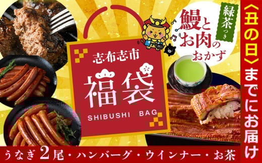 
            【志布志の日】【ふるさと納税】志布志市福袋！鰻とお肉のおかず(名水慈鰻2尾＆里山牛ハンバーグ4個＆黒豚MEGUMIウインナー2P＆お茶セット 総計約1kg) b8-036
          