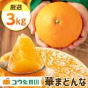 【ふるさと納税】コウ果樹園の「厳選　華まどんな」3kg【D33-8】_ みかん 蜜柑 ミカン 柑橘類 柑橘 フルーツ くだもの 果物 人気 美味しい 愛媛県 八幡浜市 ふるさと 【1056129】