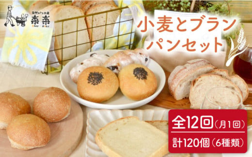 【 全12回 定期便 】栽培期間 農薬 科学肥料 不使用 小麦 と ブラン の パン セット ( 卵 / 乳製品 不使用 )《糸島》【天然パン工房楽楽】【いとしまごころ】[AVC020] パン 国産 詰め合わせ セット 卵 乳製品 不使用 冷凍 ブラン