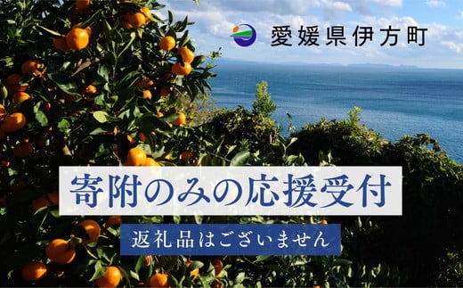 
            【返礼品なし】愛媛県伊方町・応援寄附1,000円（寄附のみの応援受付 ※返礼品はございません）
          