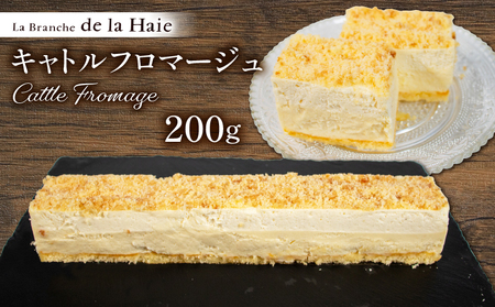 キャトルフロマージュ | チーズケーキ お菓子 スイーツ 冷凍 冷凍 ｹｰｷ お菓子 ケーキ ケーキ ケーキ ケーキ ケーキ【LBH001】
