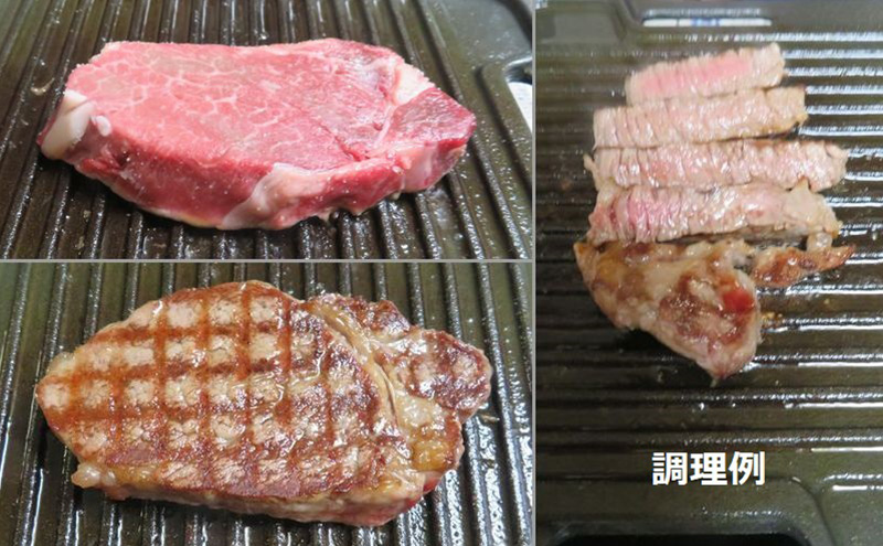 グリルプレート 分厚いステーキ肉をおいしく上手に焼ける本格的な鋳鉄製の調理用鉄板 グリルプレートWF10 調理 加熱 両面 遠赤外線 こんがり ふっくら ジューシー 美濃市 岐阜県