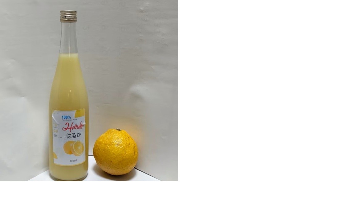 
                  はるかジュース  【ふるさと納税 人気 おすすめ ランキング はるか ジュース みかん  ミカン オレンジ  愛媛県 伊方町 送料無料】 IKTBN002 
                