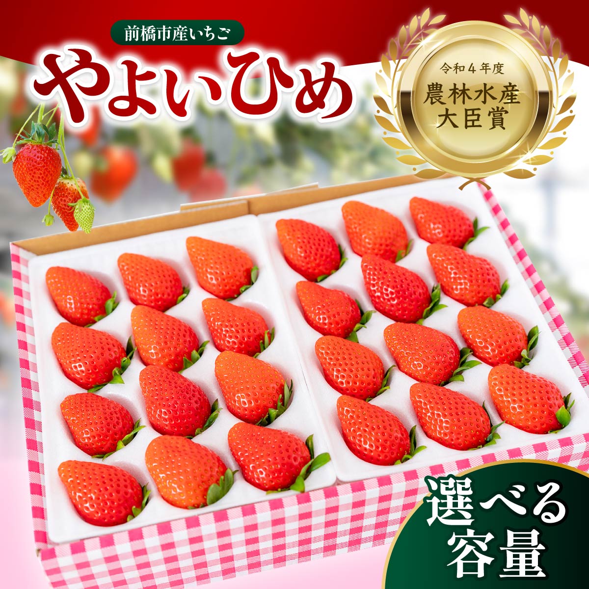 【ふるさと納税】いちご 農林水産大臣賞受賞 やよいひめ 選べる容量 2026年 ｜人気 高評価 朝採れ 贈答用 化粧箱 イチゴ 苺 高品質 フルーツ たっぷり 新鮮 完熟 旬 ストロベリー 高級 甘い あまい 人気 高評価 高糖度 ごほうび プレゼント 松井ファーム 群馬県 前橋市